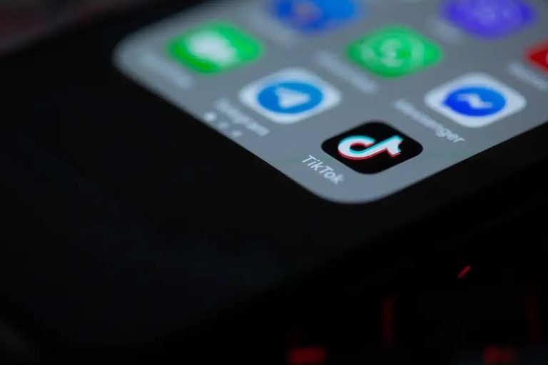 Debate Over TikTok Ban Highlights First Amendment Concerns